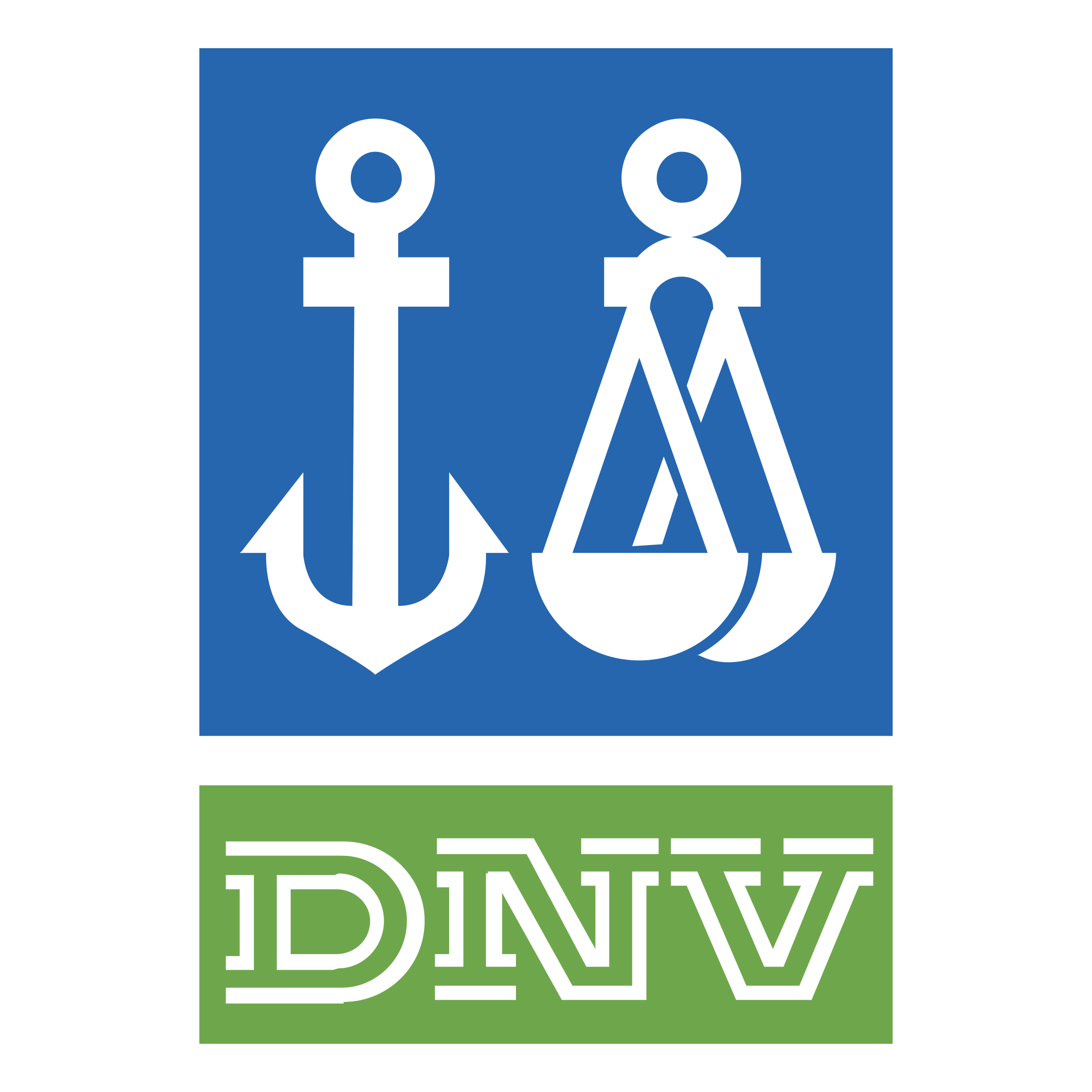 DNV Logo